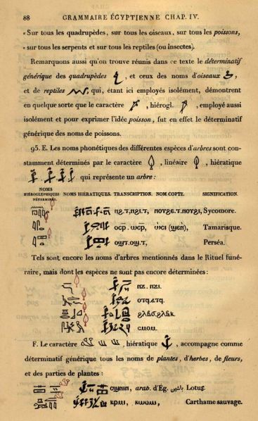 File:PJ1135.C45 124.JPG